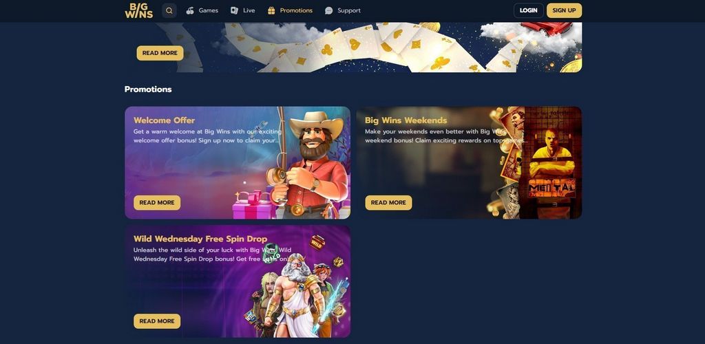 BigWins Online Casino Review 2025 - 100% up to 250 USDT