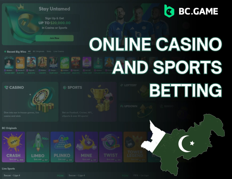 Exploring the World of Bc.Game Bookmaker Online