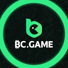 Everything You Need to Know About BCGAME Withdrawal 13 Everything You Need to Know About BCGAME Withdrawal 13