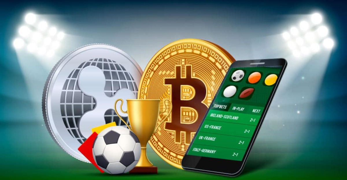 Todo lo que debes saber sobre casa de apuestas Todo lo que debes saber sobre casa de apuestas