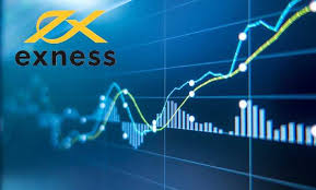 Discovering the Exness Web Platform A Comprehensive Guide